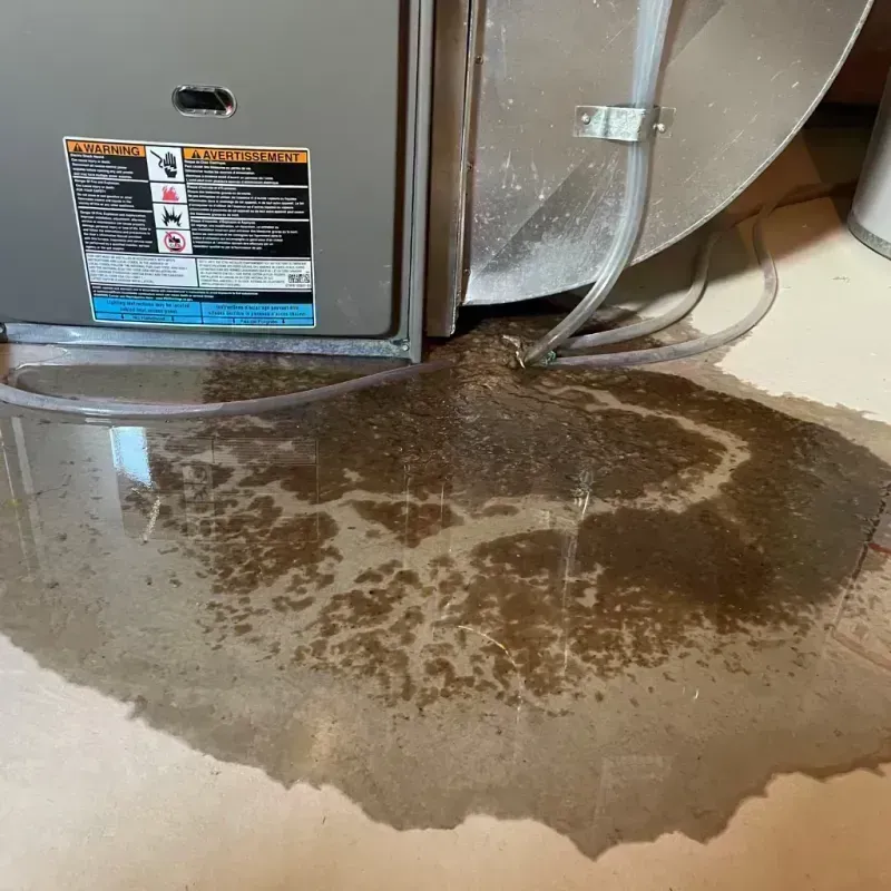 Appliance Leak Cleanup in Sunset, LA